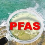 Pfas